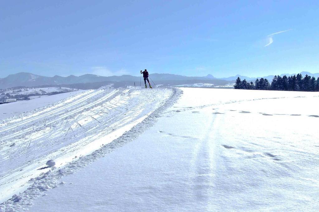 Hotel Allgaeu Garni Scheidegg