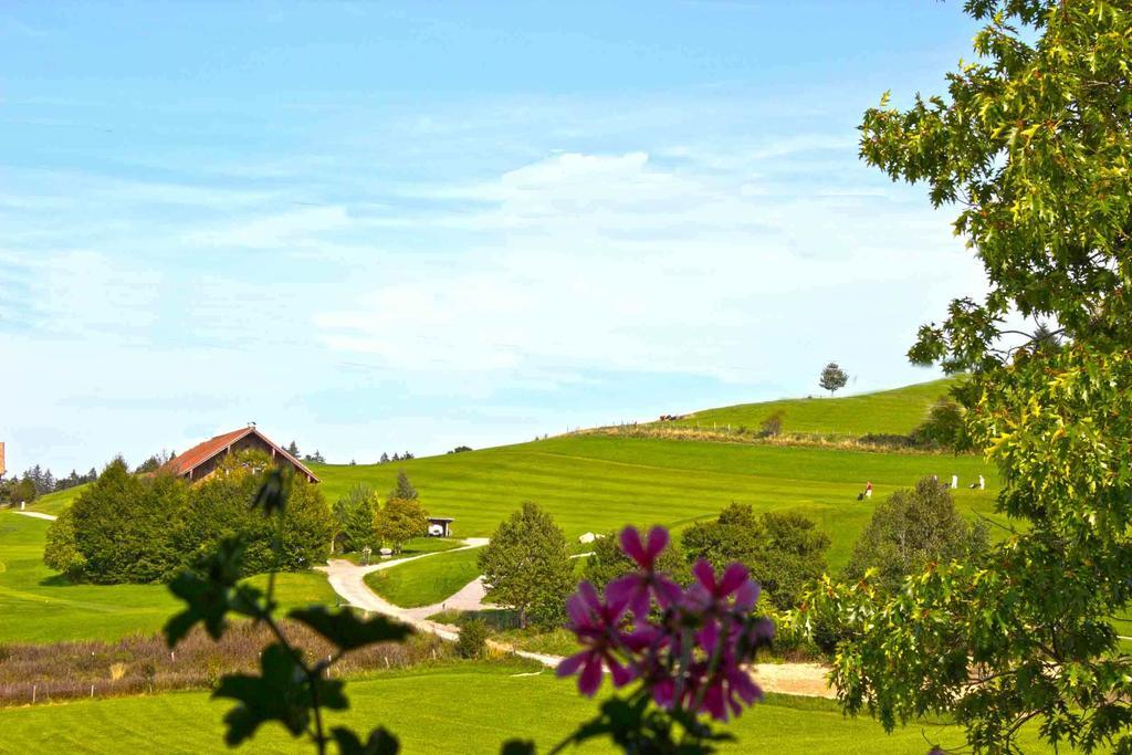 Allgaeu Garni Hotel 3*